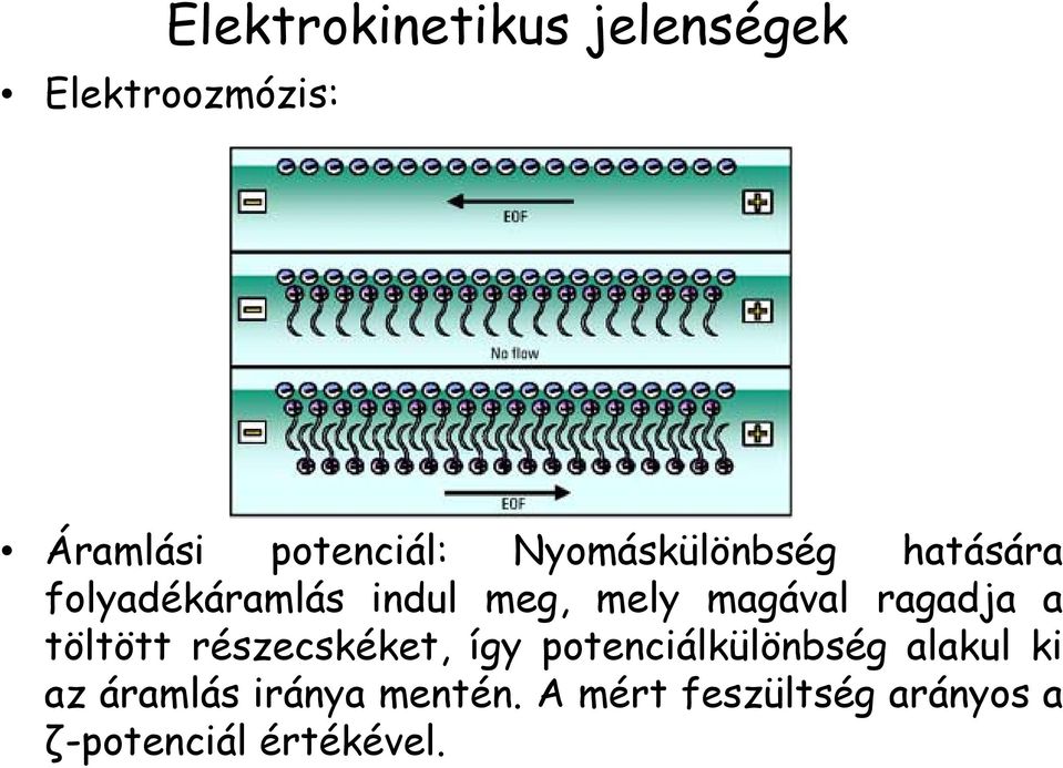 ragadja a töltött részecskéket, így potenciálkülönbség alakul ki az