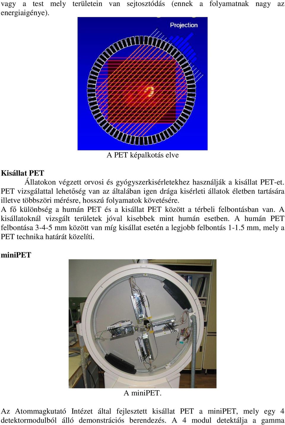 PET vizsgálattal lehetıség van az általában igen drága kisérleti állatok életben tartására illetve többszöri mérésre, hosszú folyamatok követésére.