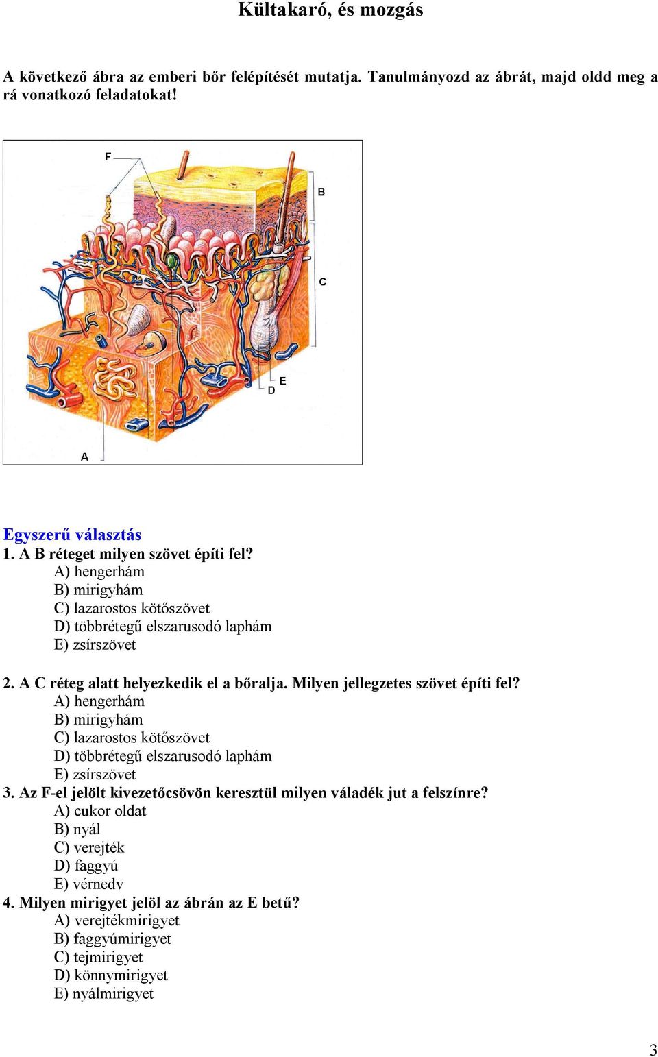 A) hengerhám B) mirigyhám C) lazarostos kötőszövet D) többrétegű elszarusodó laphám E) zsírszövet 3. Az F-el jelölt kivezetőcsövön keresztül milyen váladék jut a felszínre?