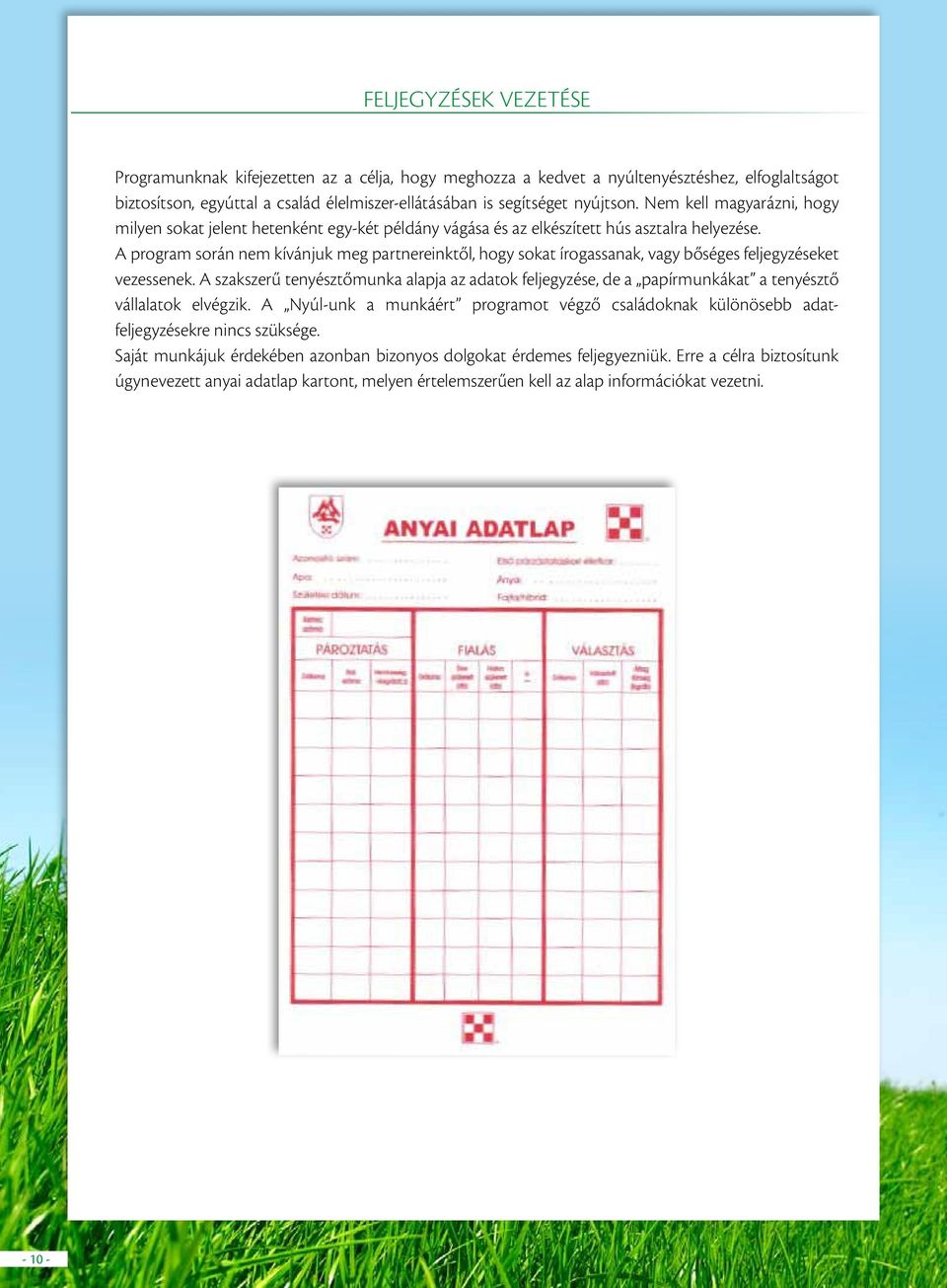 A program során nem kívánjuk meg partnereinktől, hogy sokat írogassanak, vagy bőséges feljegyzéseket vezessenek.