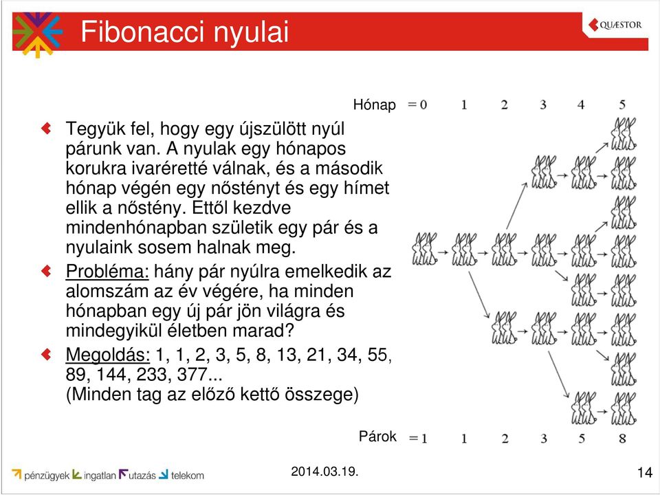 Ettől kezdve mindenhónapban születik egy pár és a nyulaink sosem halnak meg.