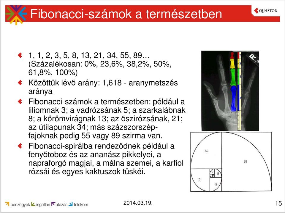 körömvirágnak 13; az őszirózsának, 21; az útilapunak 34; más százszorszépfajoknak pedig 55 vagy 89 szirma van.