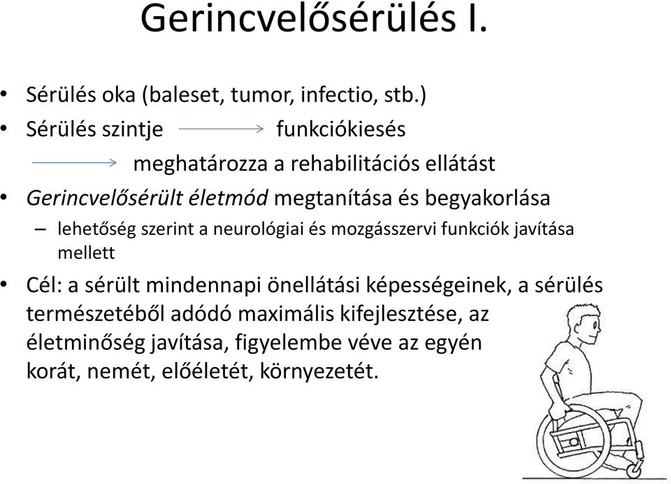 begyakorlása lehetőség szerint a neurológiai és mozgásszervi funkciók javítása mellett Cél: a sérült mindennapi