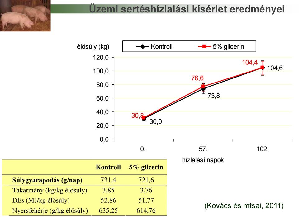 5% glicerin hízlalási napok Súlygyarapodás (g/nap) 731,4 721,6 Takarmány (kg/kg élősúly)