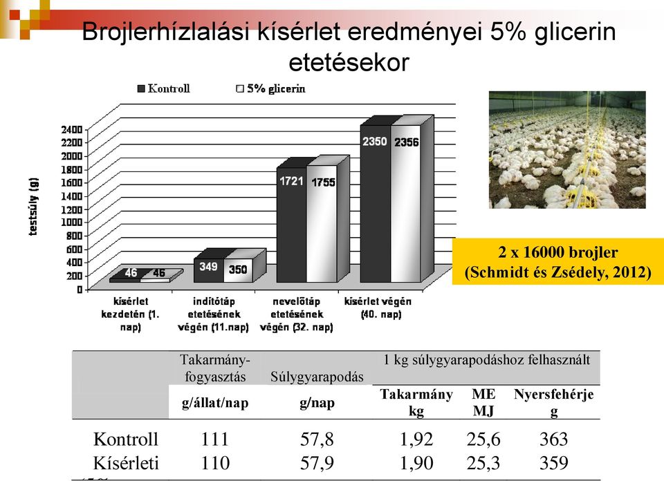 Súlygyarapodás g/nap 1 kg súlygyarapodáshoz felhasznált Takarmány kg ME