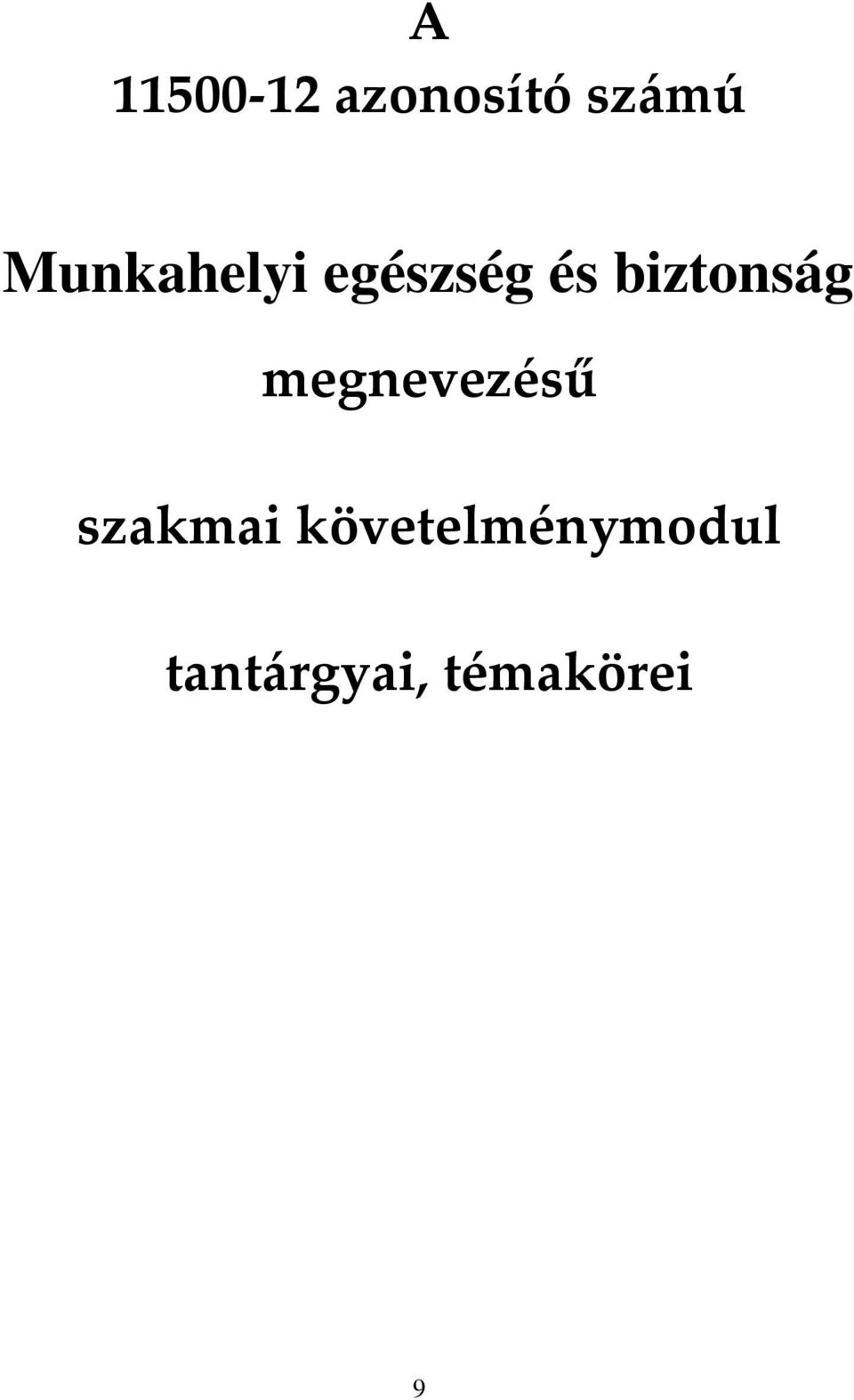 biztonság megnevezésű szakmai