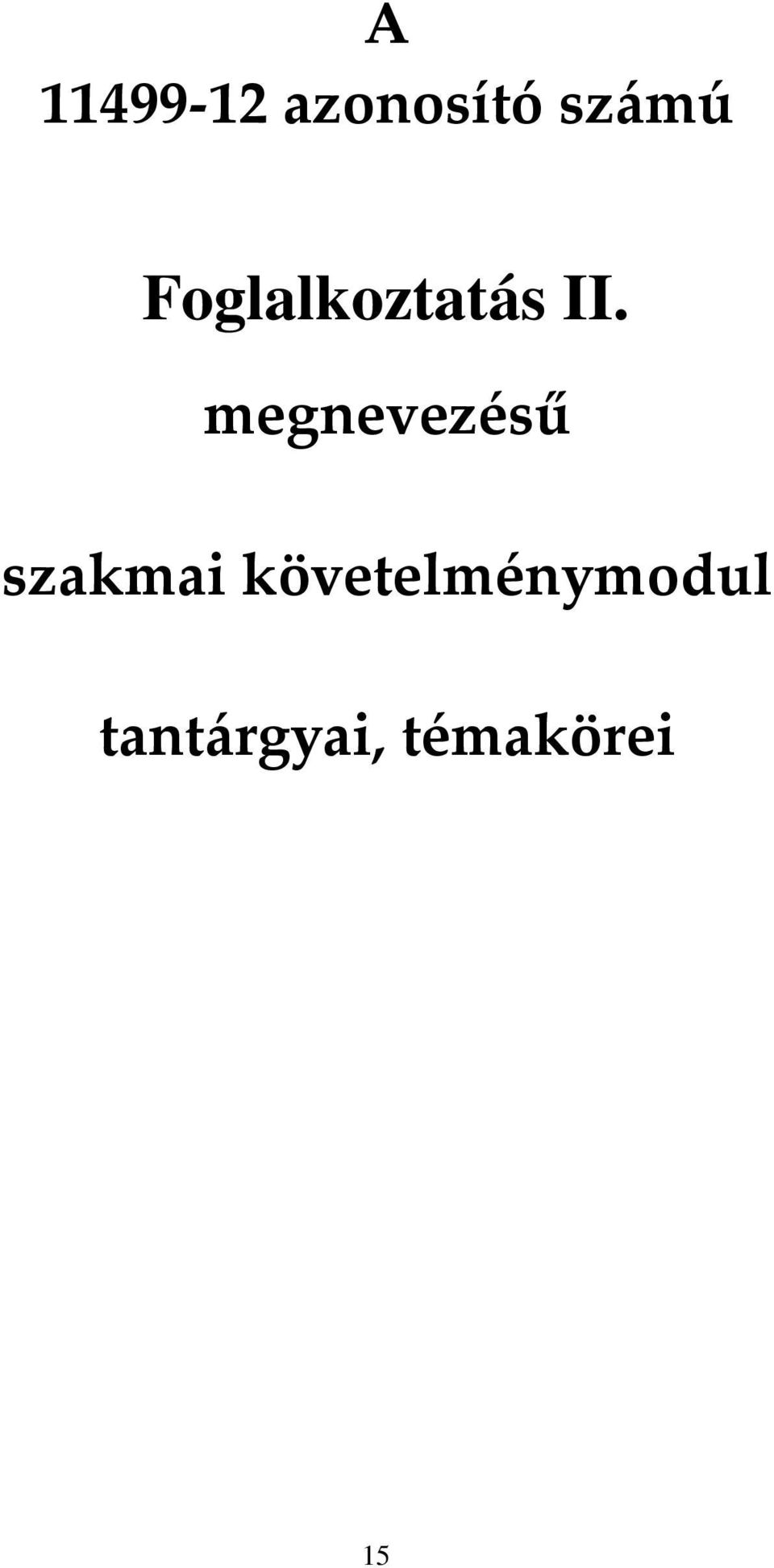 megnevezésű szakmai