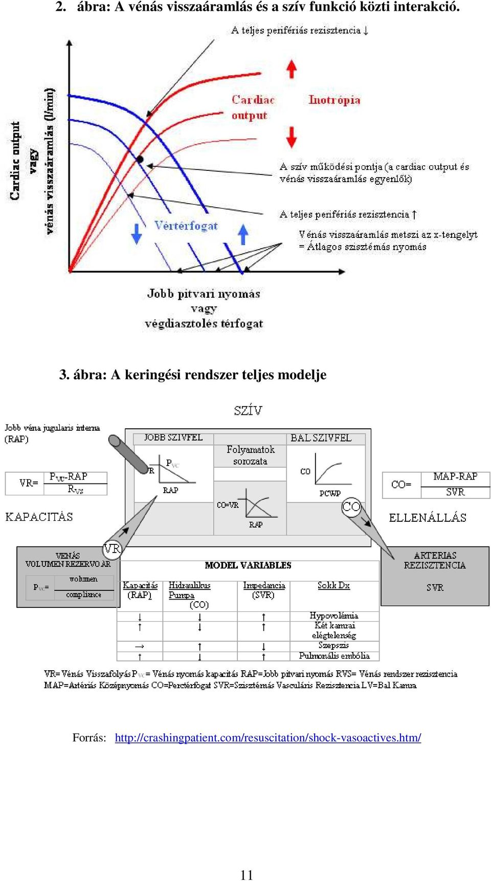 ábra: A keringési rendszer teljes modelje