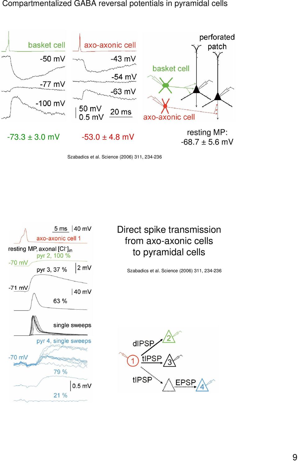 Science (2006) 311, 234-236 resting MP: -68.7 ± 5.