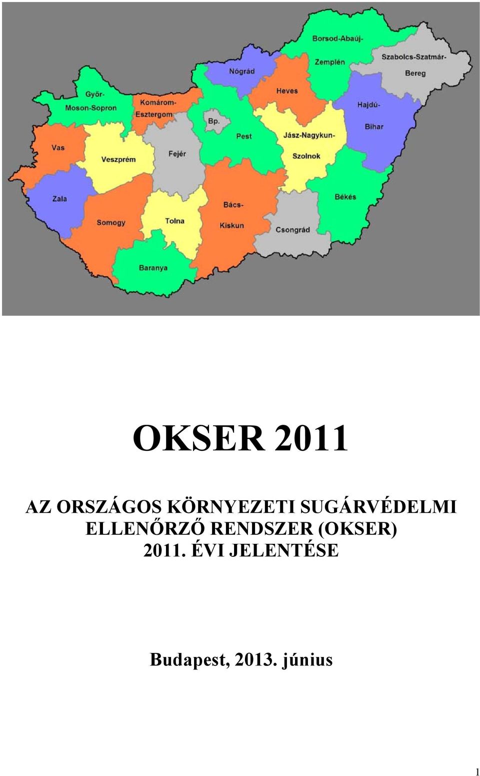 ELLENŐRZŐ RENDSZER (OKSER)