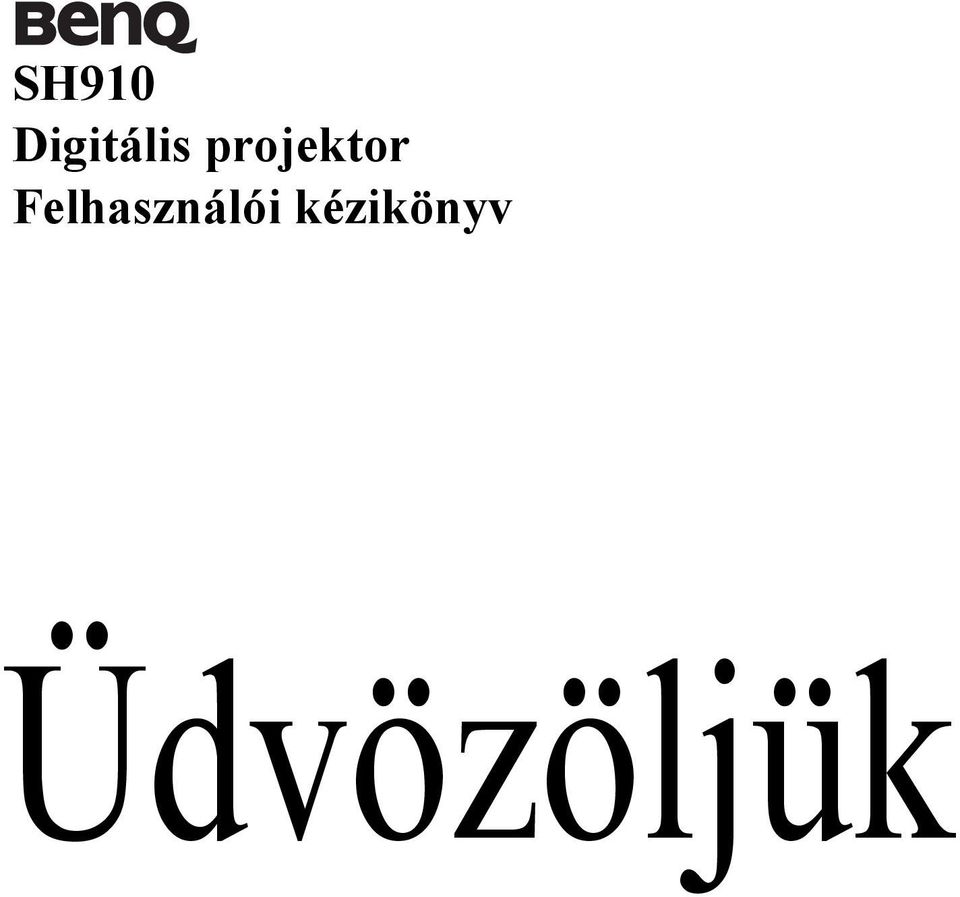 projektor