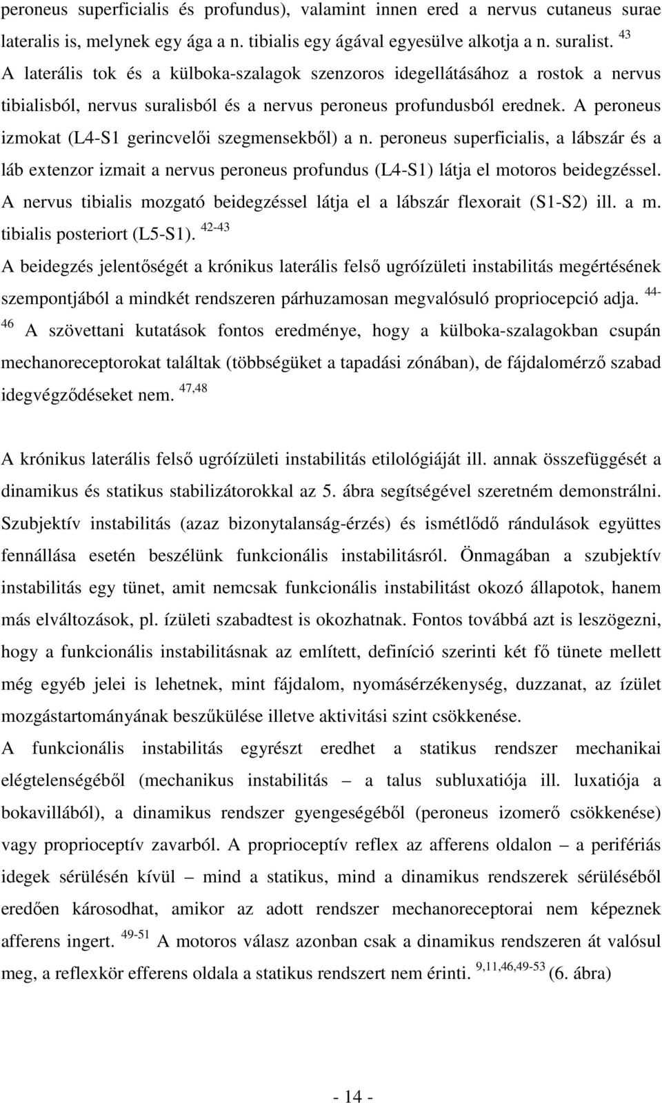 A peroneus izmokat (L4-S1 gerincvelői szegmensekből) a n. peroneus superficialis, a lábszár és a láb extenzor izmait a nervus peroneus profundus (L4-S1) látja el motoros beidegzéssel.