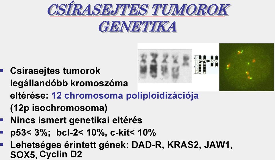 isochromosoma) Nincs ismert genetikai eltérés p53< 3%; bcl-2<