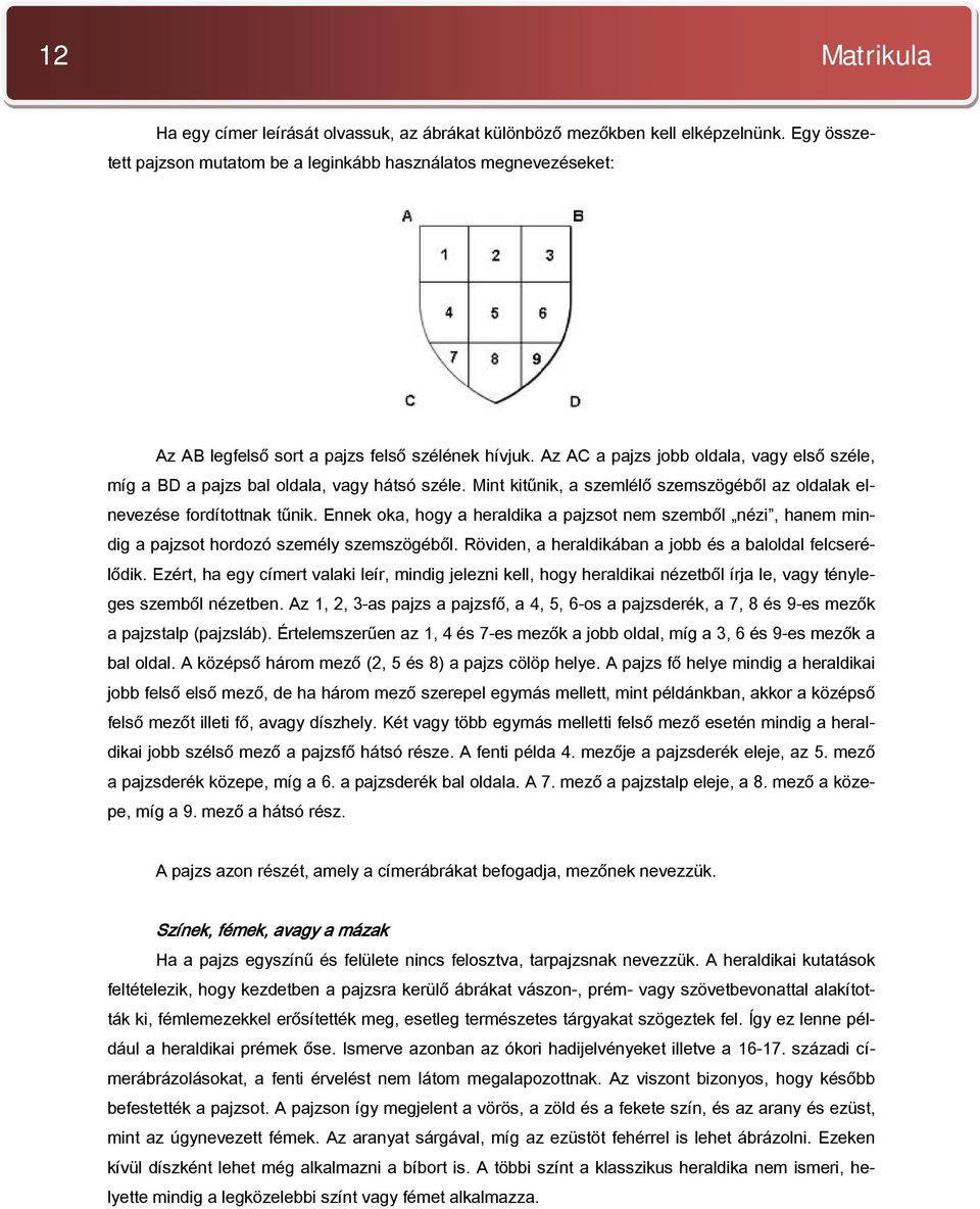 Az AC a pajzs jobb oldala, vagy első széle, míg a BD a pajzs bal oldala, vagy hátsó széle. Mint kitűnik, a szemlélő szemszögéből az oldalak elnevezése fordítottnak tűnik.