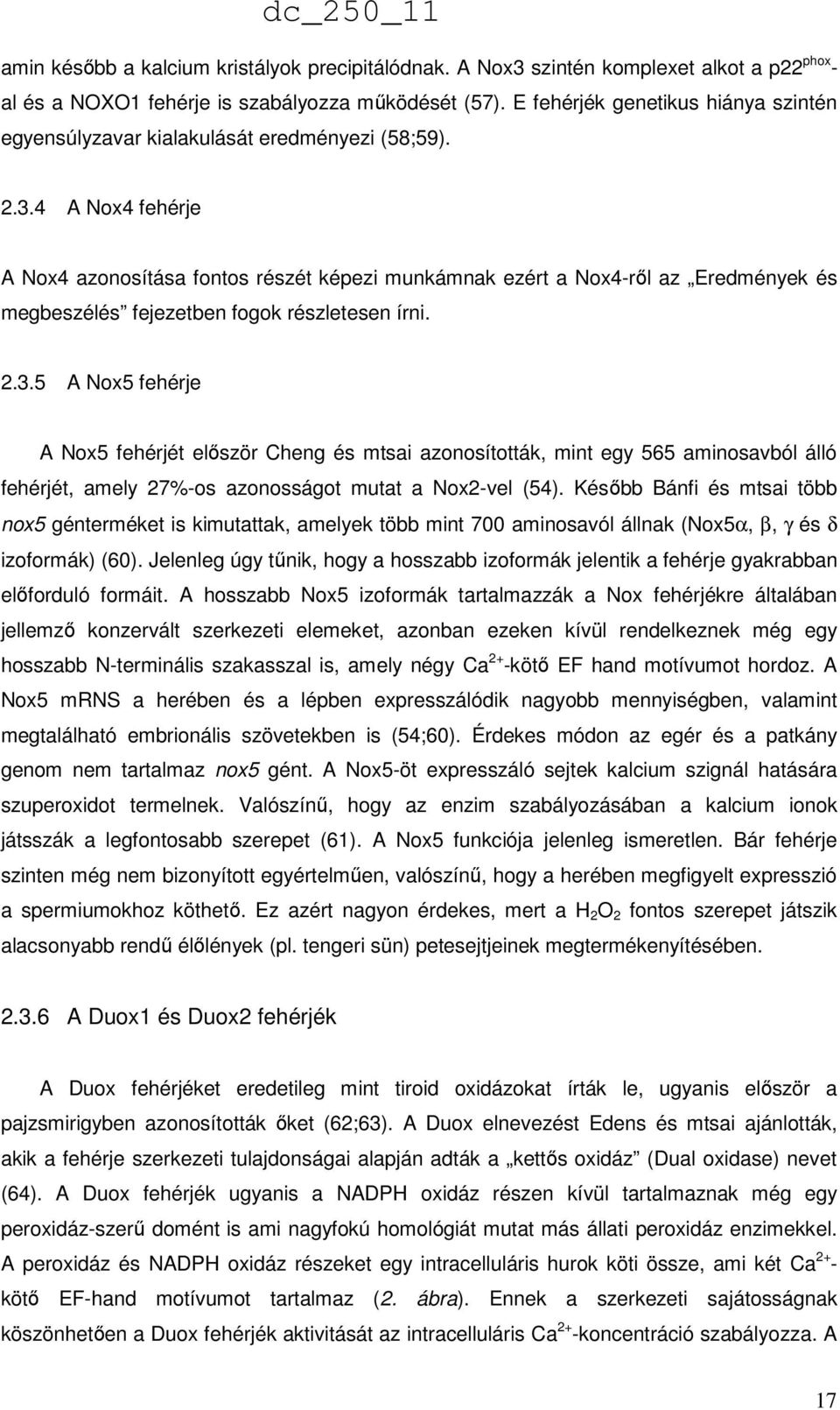 4 A Nox4 fehérje A Nox4 azonosítása fontos részét képezi munkámnak ezért a Nox4-ről az Eredmények és megbeszélés fejezetben fogok részletesen írni. 2.3.