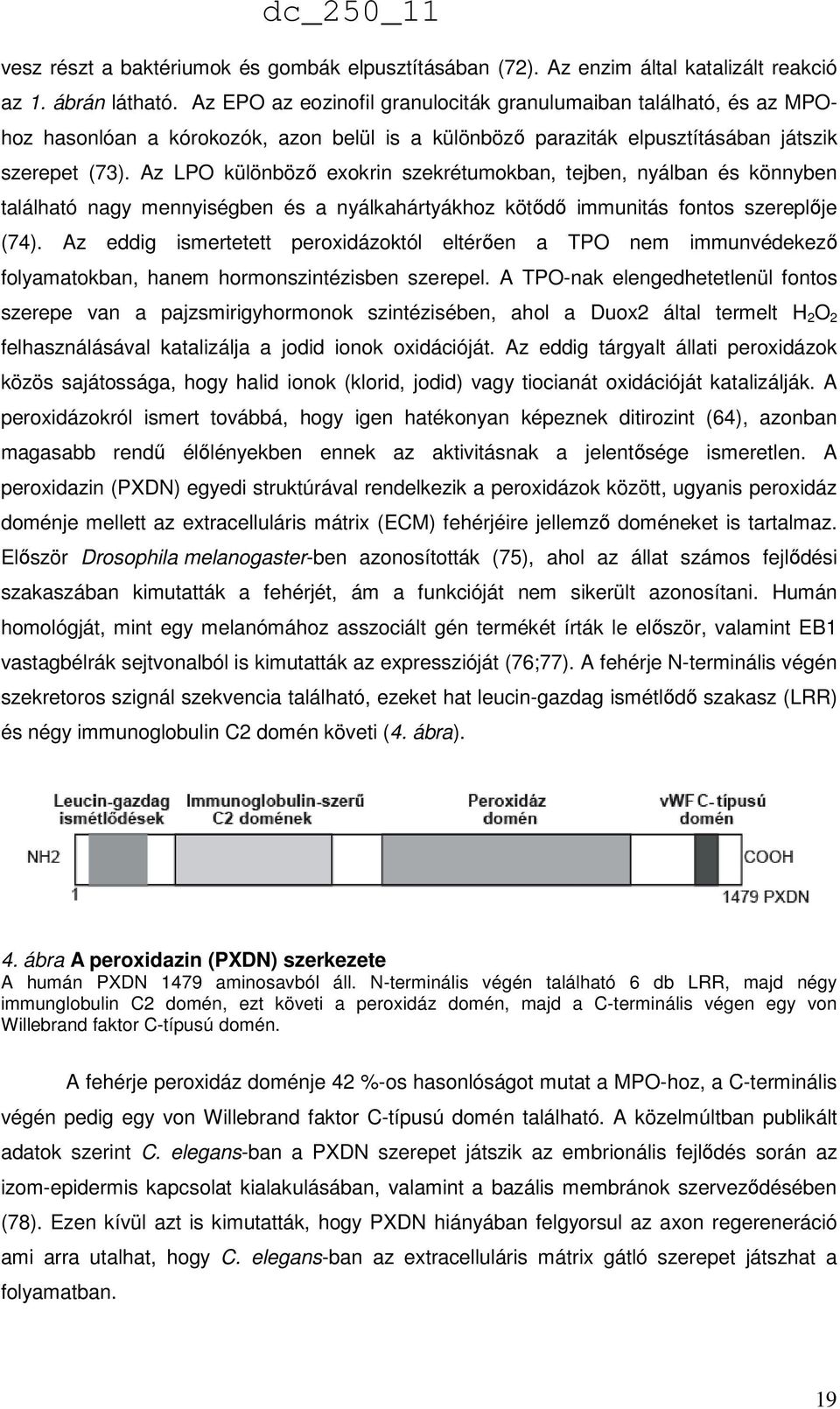 Az LPO különböző exokrin szekrétumokban, tejben, nyálban és könnyben található nagy mennyiségben és a nyálkahártyákhoz kötődő immunitás fontos szereplője (74).