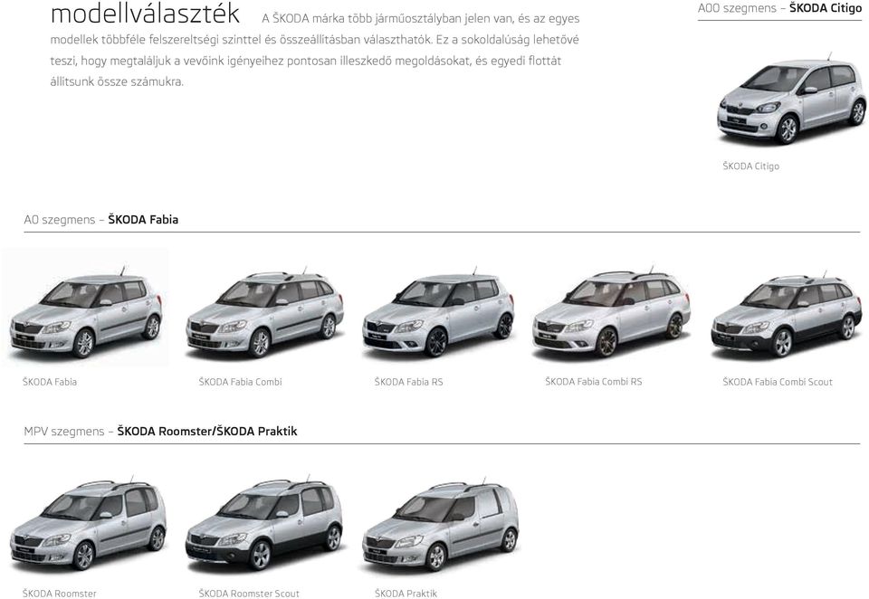 Ez a sokoldalúság lehetővé teszi, hogy megtaláljuk a vevőink igényeihez pontosan illeszkedő megoldásokat, és egyedi flottát állítsunk