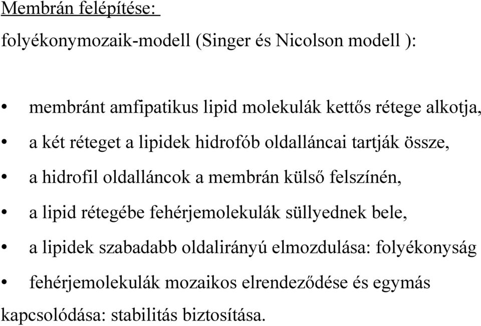 membrán külső felszínén, a lipid rétegébe fehérjemolekulák süllyednek bele, a lipidek szabadabb oldalirányú