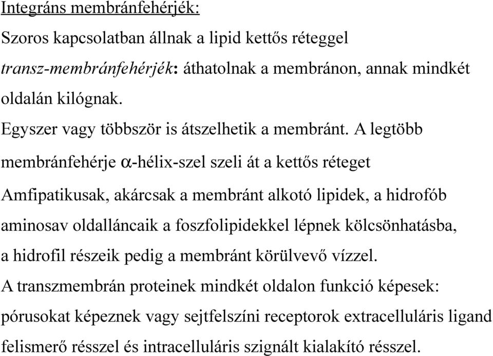 A legtöbb membránfehérje -hélix-szel szeli át a kettős réteget Amfipatikusak, akárcsak a membránt alkotó lipidek, a hidrofób aminosav oldalláncaik a