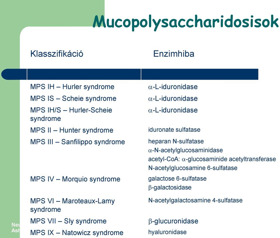 acetyltransferase N-acetylglucosamine 6-sulfatase galactose 6-sulfatase -galactosidase MPS VI Maroteaux-Lamy syndrome MPS VII Sly syndrome N-acetylgalactosamine 4-sulfatase