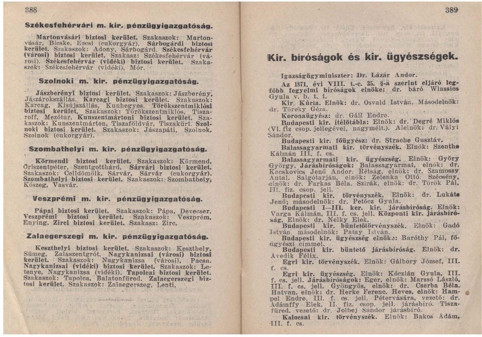 Jászberényi biztosi kerület. Szakaszok: Jászberény; J ászáro~s'zállás. Kar~agi biztosi kerület. Szakaszok: Karcag, Kisújszállás, Kunhegyes. Törökszentmiklósi biztosi keriilet.