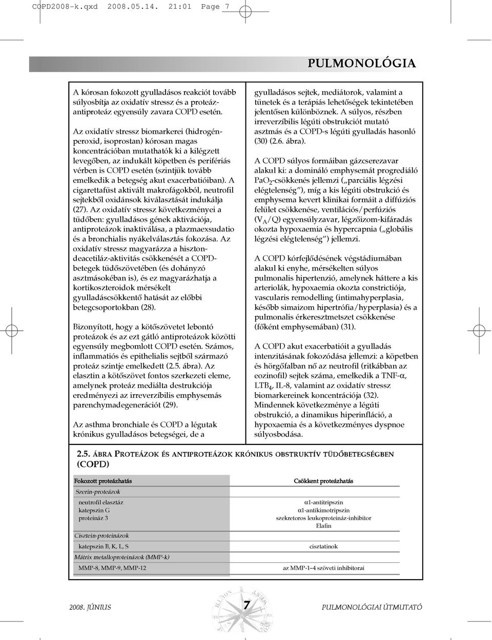 emelkedik a betegség akut exacerbatióiban). A cigarettafüst aktivált makrofágokból, neutrofil sejtekbõl oxidánsok kiválasztását indukálja (27).