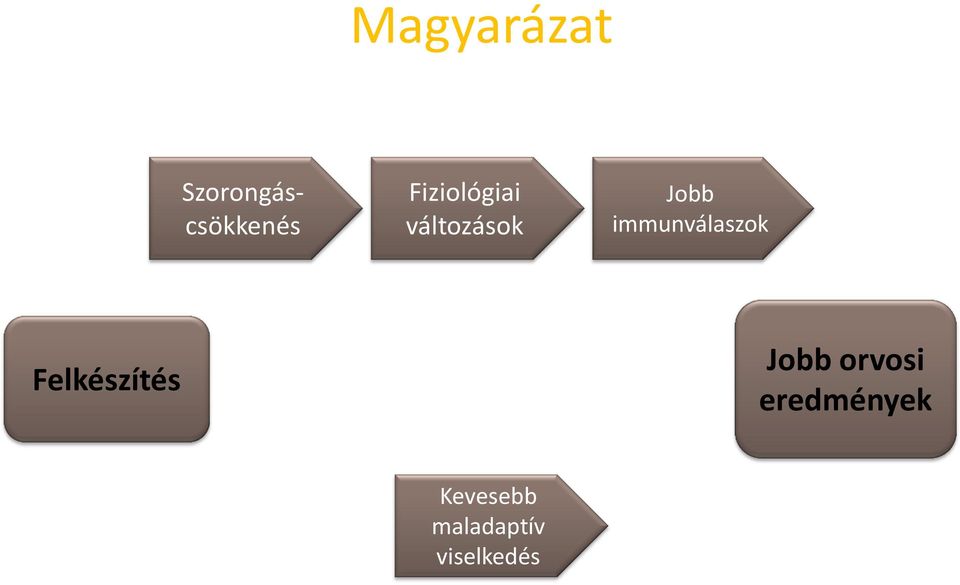 immunválaszok Felkészítés Jobb