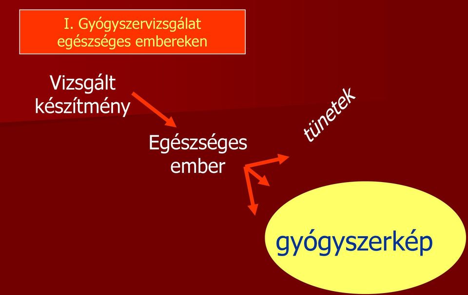 Vizsgált készítmény