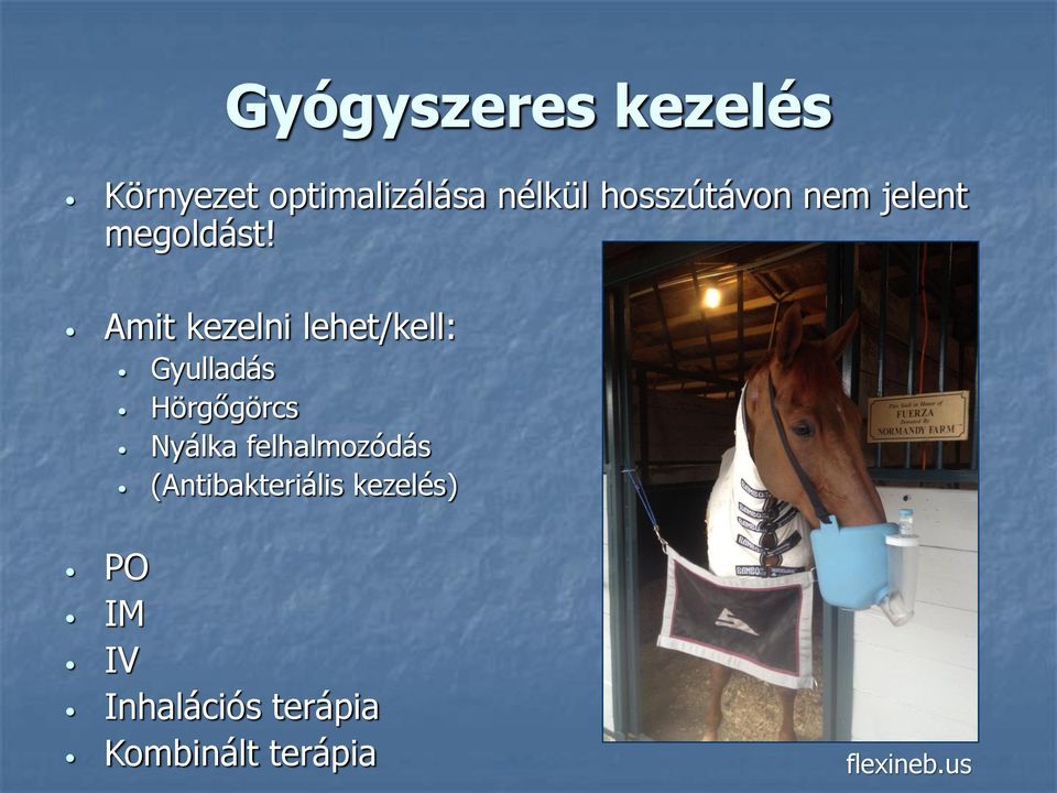 Amit kezelni lehet/kell: Gyulladás Hörgőgörcs Nyálka