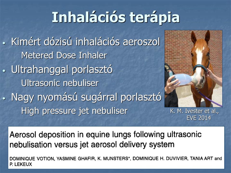 porlasztó Ultrasonic nebuliser Nagy nyomású