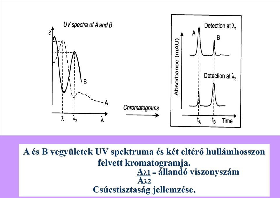 kromatogramja.