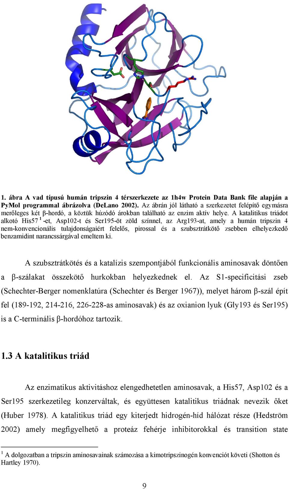 A katalitikus triádot alkotó His57 1 -et, Asp102-t és Ser195-öt zöld színnel, az Arg193-at, amely a humán tripszin 4 nem-konvencionális tulajdonságaiért felelős, pirossal és a szubsztrátkötő zsebben