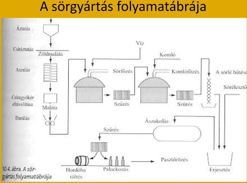 Alkoholtartalmú italok 2. rész Sörök. Készítette: Friedrichné Irmai Tünde -  PDF Ingyenes letöltés