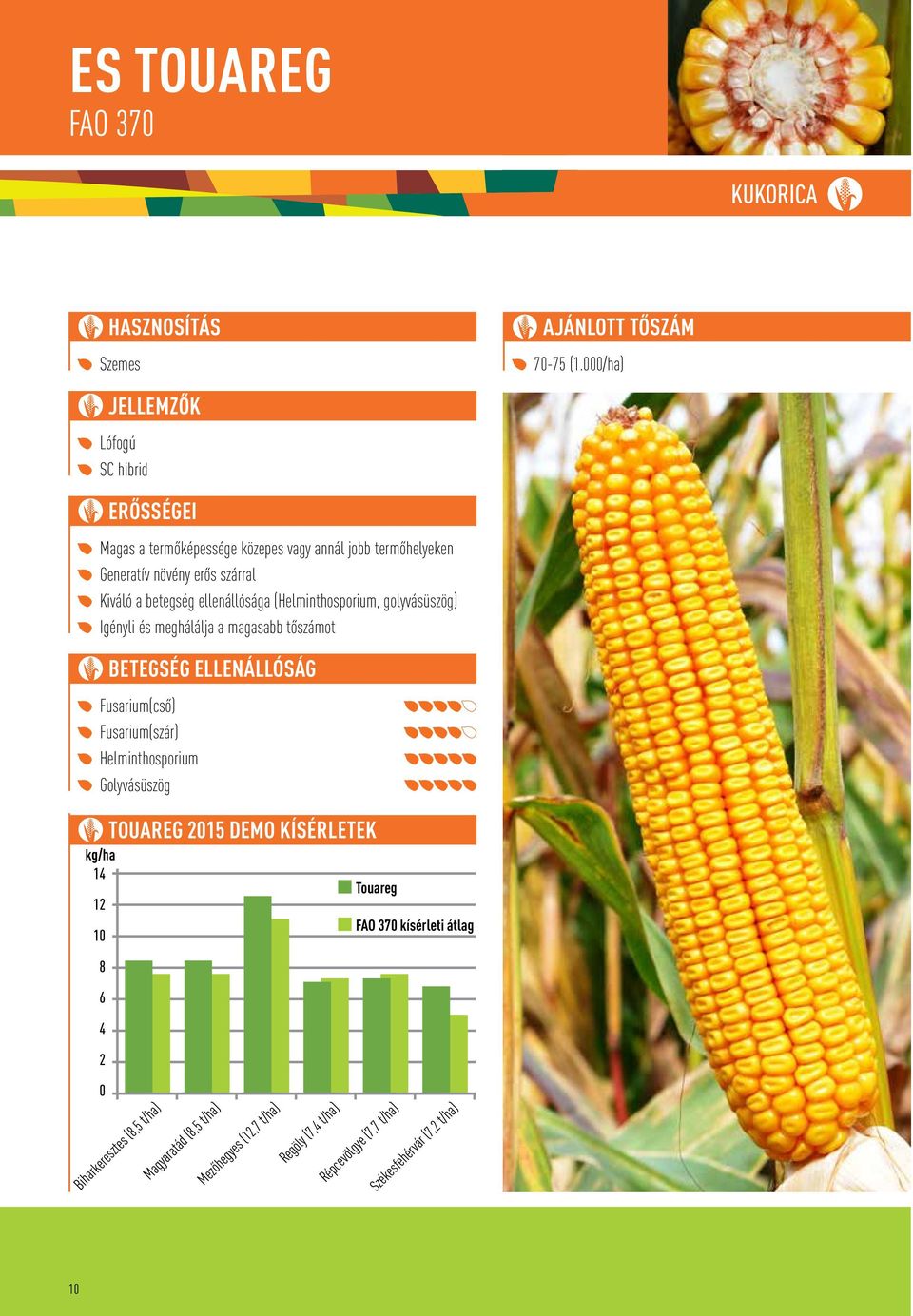 ellenállósága (Helminthosporium, golyvásüszög) Igényli és MAIZE meghálálja GRAINa magasabb tôszámot BETEGSÉG ELLENÁLLÓSÁG Fusarium(csô) Fusarium(szár)