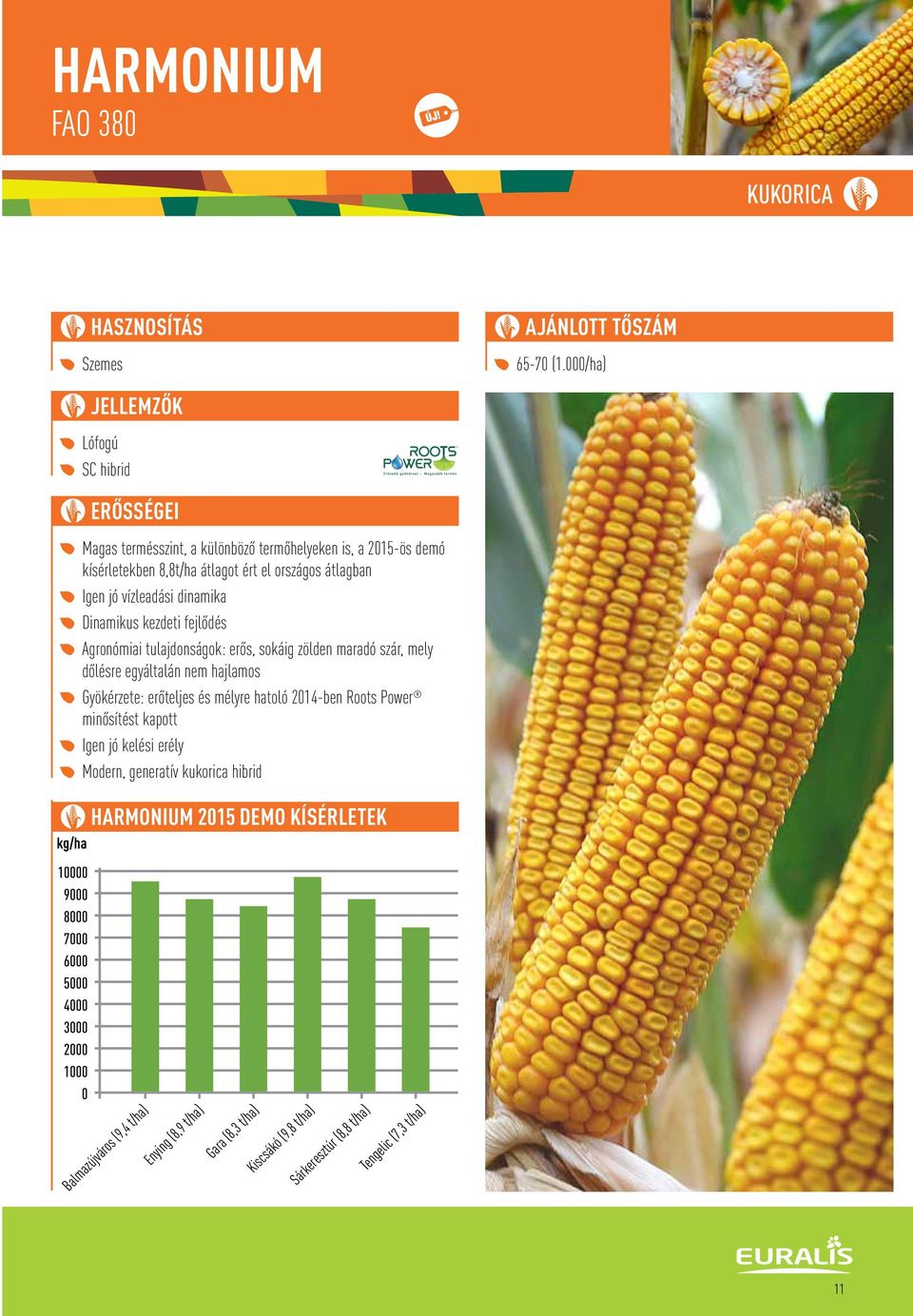 8,8t/ha átlagot ért el országos átlagban Igen jó vízleadási dinamika Dinamikus kezdeti fejlôdés Agronómiai tulajdonságok: erôs, sokáig zölden maradó szár, mely dôlésre egyáltalán nem