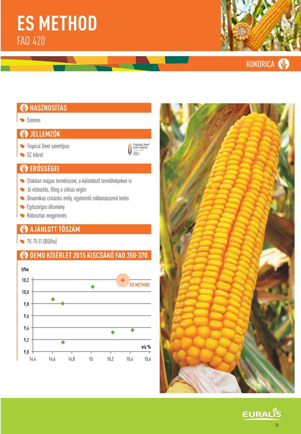 robbanásszerû kelés Egészséges állomány Robosztus MAIZE megjelenés GRAIN AJÁNLOTT TÔSZÁM 70-75 (1.