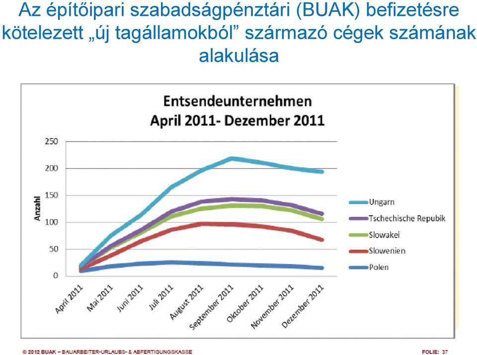 befizetésre kötelezett új