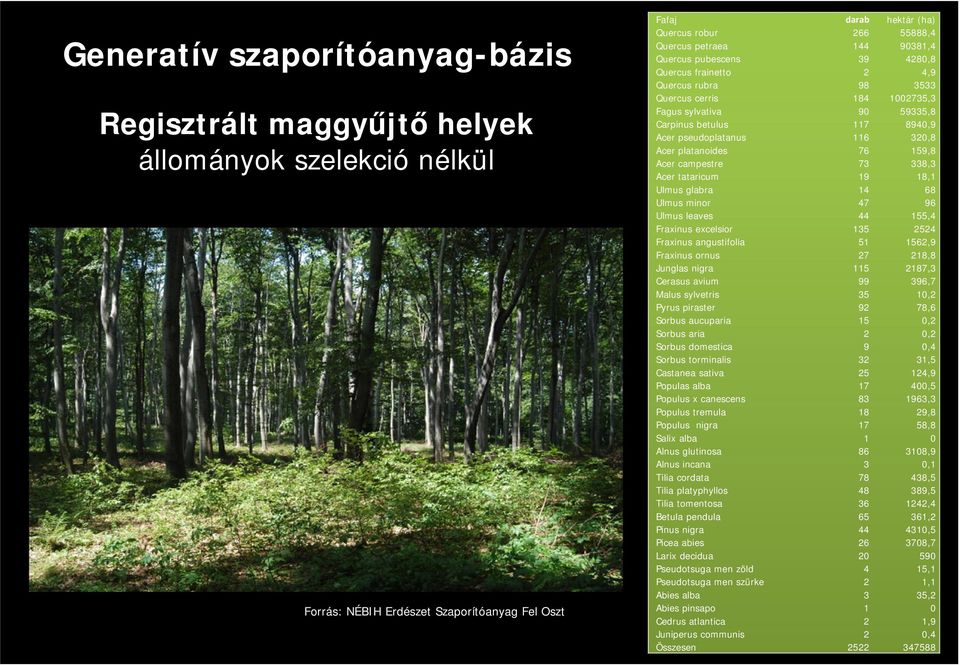 Fraxinus angustifolia Fraxinus ornus Junglas nigra Cerasus avium Malus sylvetris Pyrus piraster Sorbus aucuparia Sorbus aria Sorbus domestica Sorbus torminalis Castanea sativa Populas alba Populus x