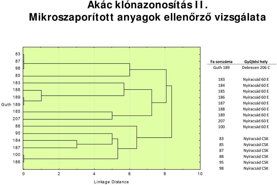 83 84 85 86 87 88 89 207 00 Nyíracsád 60 E Nyíracsád 60 E Nyíracsád 60 E Nyíracsád 60 E