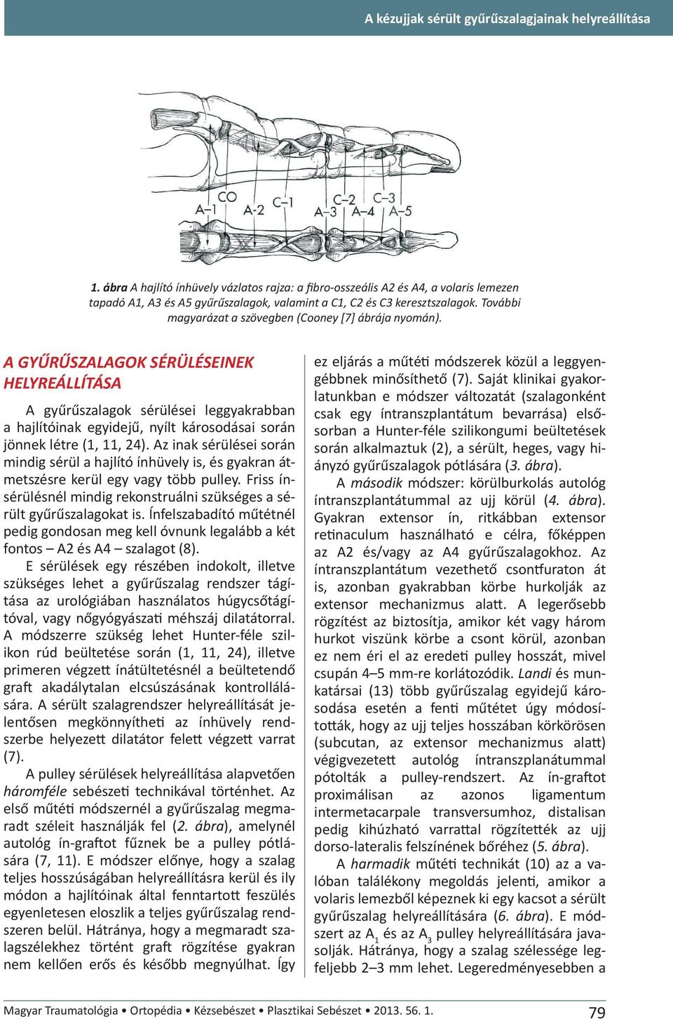 További magyarázat a szövegben (Cooney [7] ábrája nyomán).