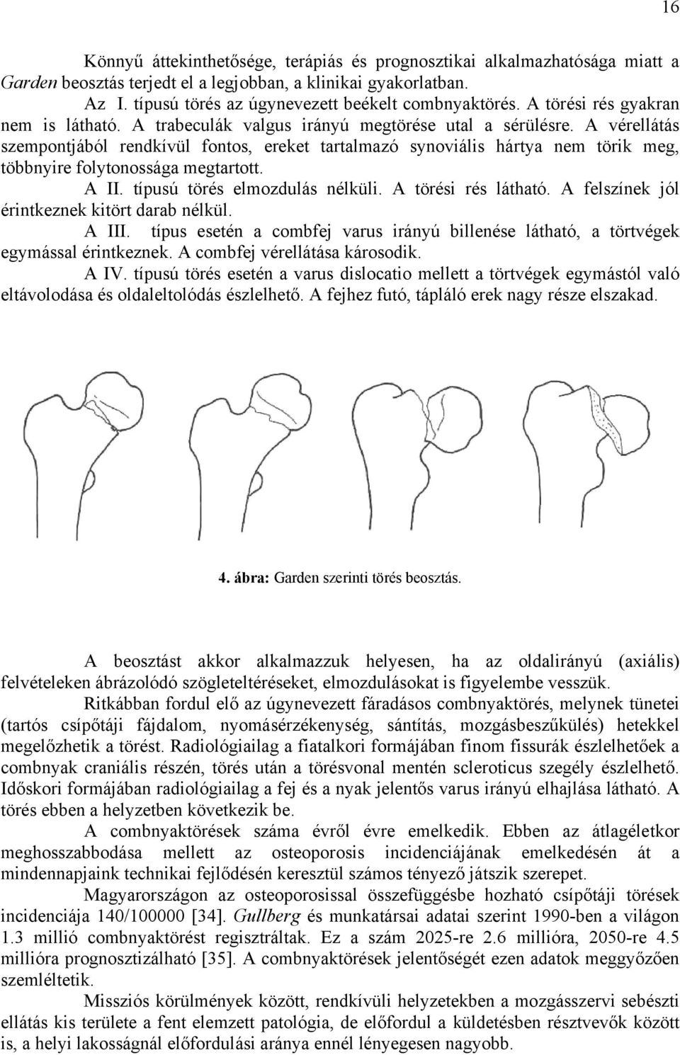 A vérellátás szempontjából rendkívül fontos, ereket tartalmazó synoviális hártya nem törik meg, többnyire folytonossága megtartott. A II. típusú törés elmozdulás nélküli. A törési rés látható.