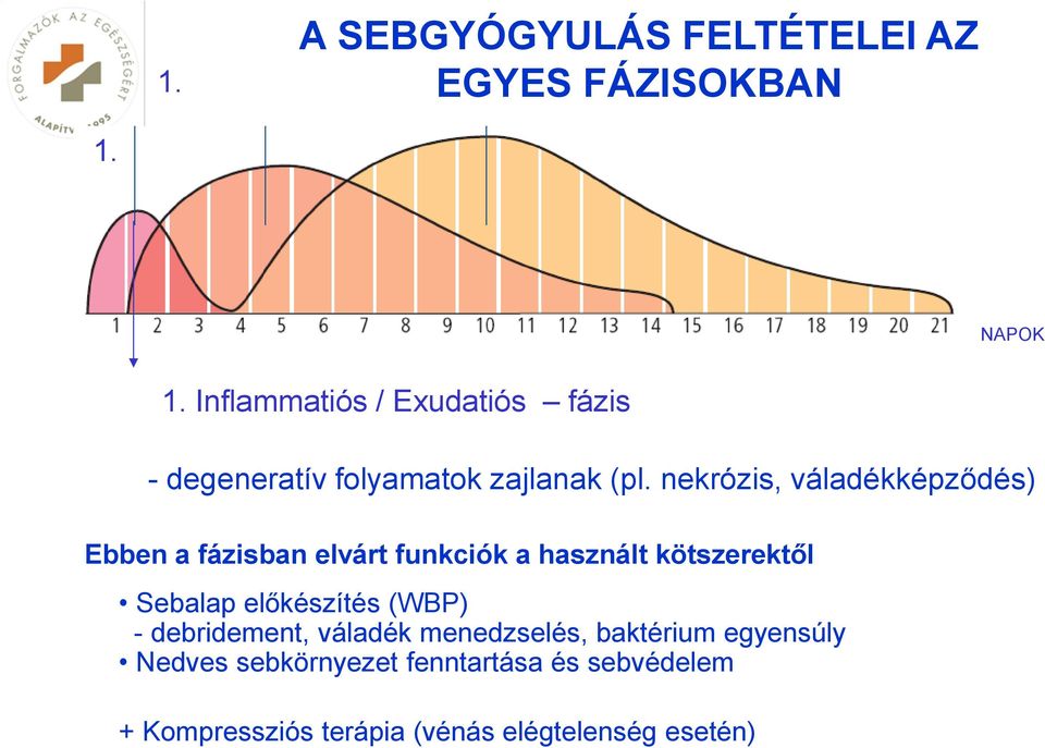 nekrózis, váladékképződés) Ebben a fázisban elvárt funkciók a használt kötszerektől Sebalap