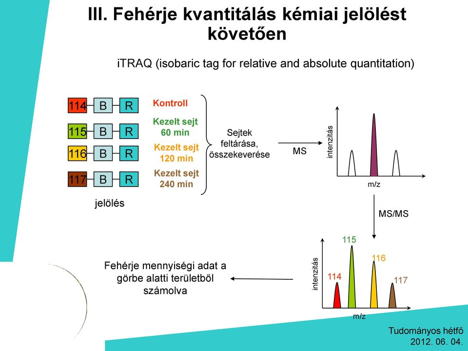 Kezelt sejt 60 min Kezelt sejt 120 min Kezelt sejt 240 min Sejtek feltárása, összekeverése