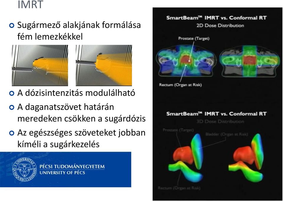 daganatszövet határán meredeken csökken a