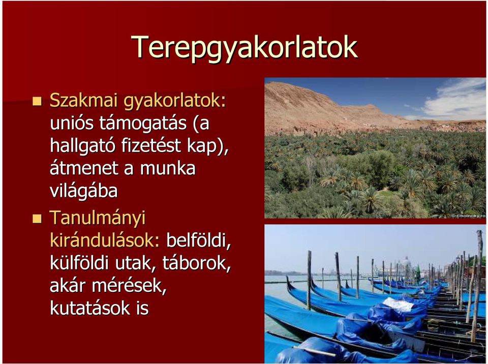 világába Tanulmányi nyi kirándul ndulások: belföldi,