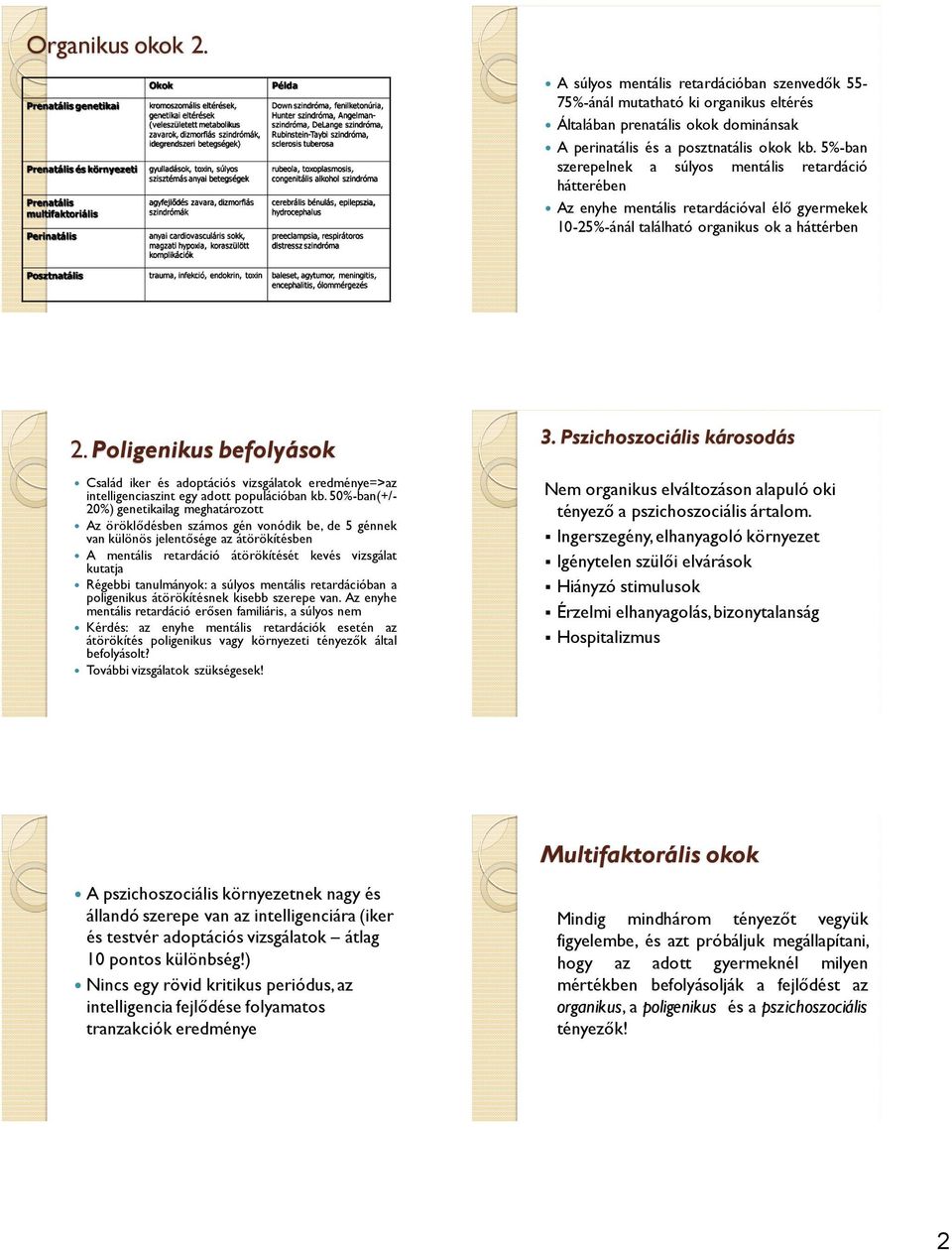 idegrendszeri betegségek) gyulladások, toxin, súlyos szisztémás anyai betegségek agyfejlődés zavara, dizmorfiás szindrómák anyai cardiovasculáris sokk, magzati hypoxia, koraszülött komplikációk Példa