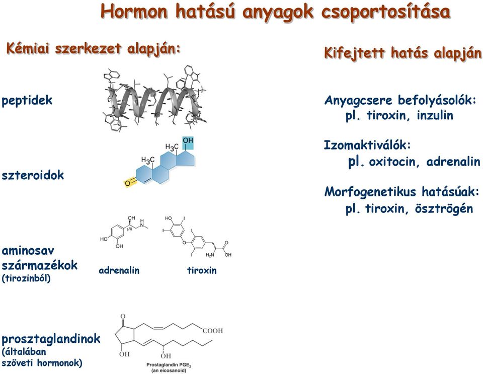 tiroxin, inzulin Izomaktiválók: pl. oxitocin, adrenalin Morfogenetikus hatásúak: pl.