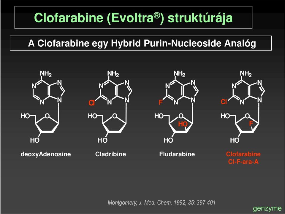 HO HO O F HO HO HO HO deoxyadenosine Cladribine Fludarabine