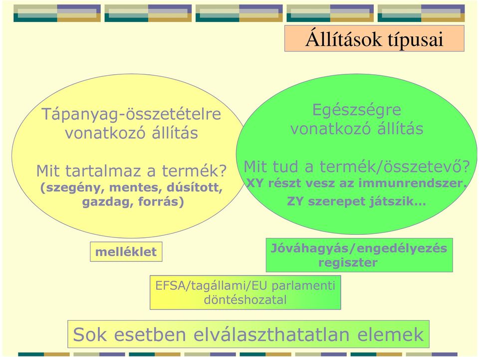 termék/összetevő? XY részt vesz az immunrendszer.