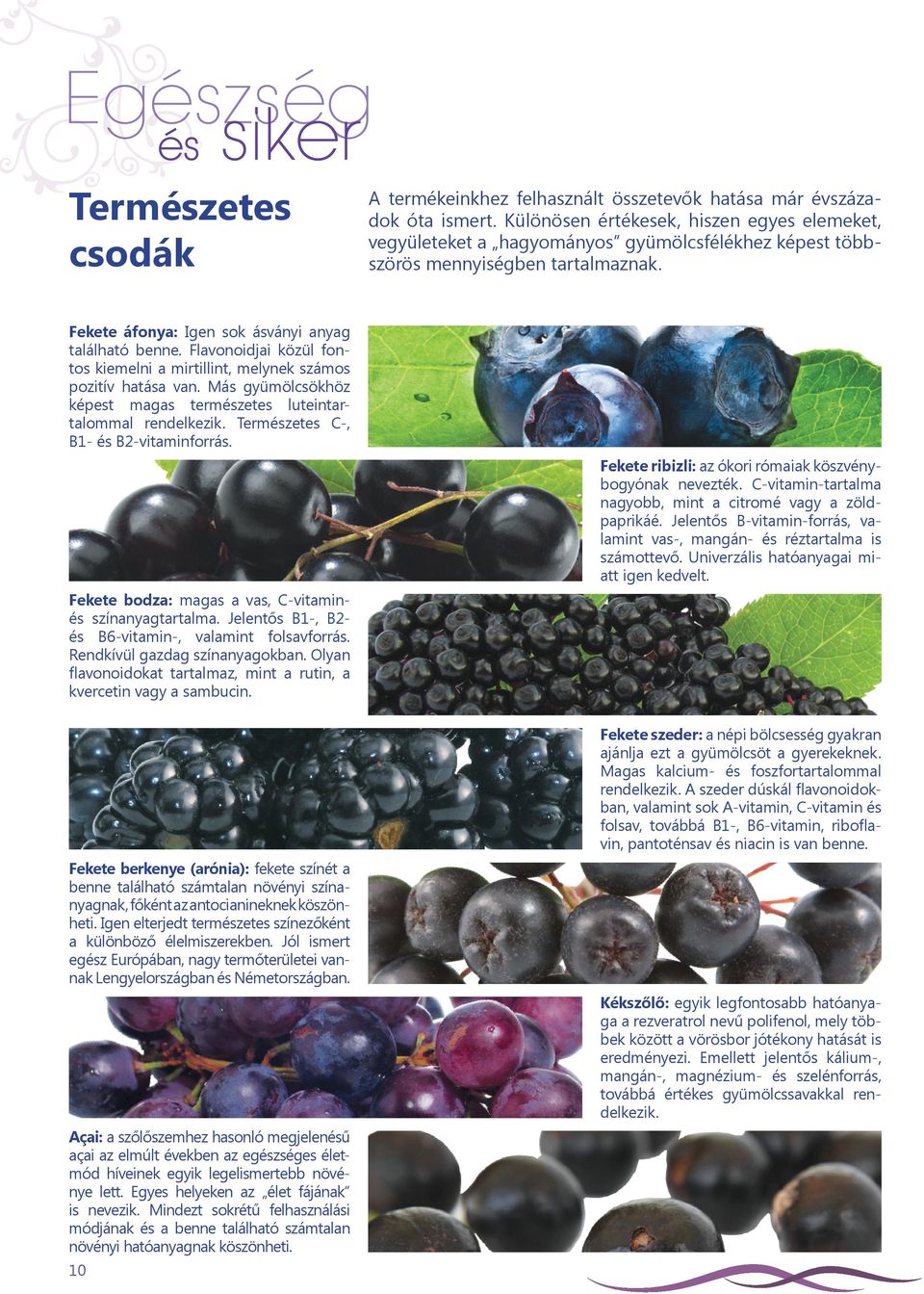 Flavonoidjai közül fontos kiemelni a mirtillint, melynek számos pozitív hatása van. Más gyümölcsökhöz képest magas természetes luteintartalommal rendelkezik. Természetes C-, B1- és B2-vitaminforrás.